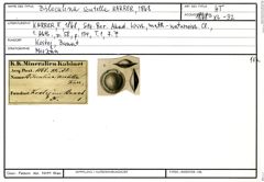 Karteikarte zum Holotyp von Biloculina scutella Karrer, 1868